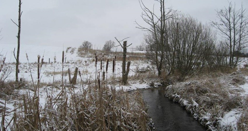 Usserød Å vinter