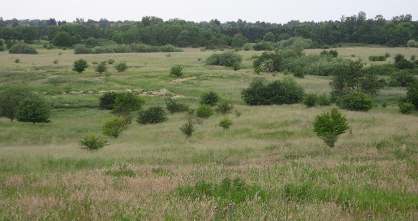 Sjælsmark øvelsesterræn 1